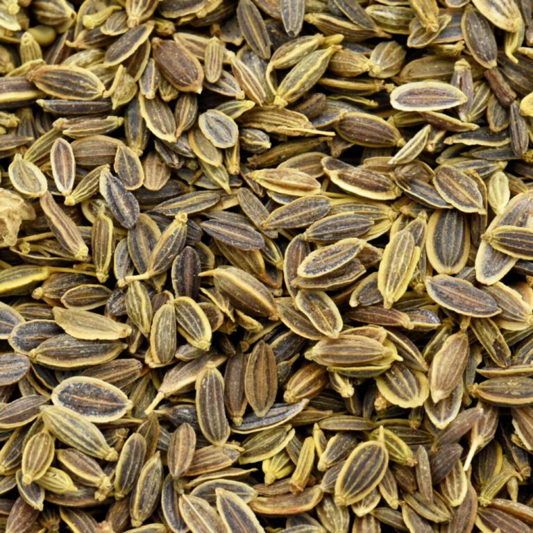 Health Benefits Of Dill Seeds Moroccan Spices 3175