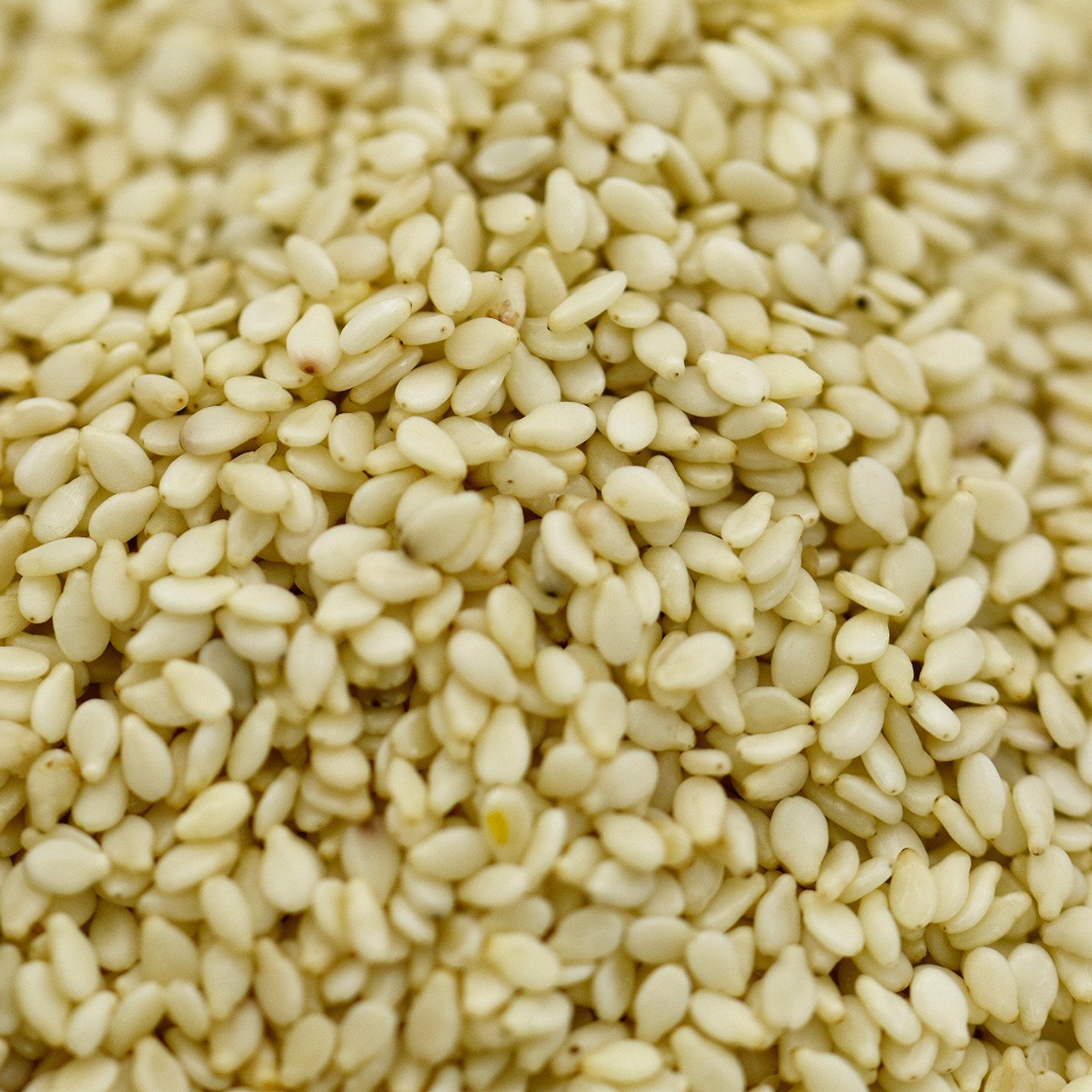 Buy Hulled White Sesame Seeds Premium Quality Guaranteed