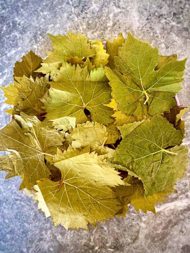 lebanese-stuffed-grape-leaves-recipe-arabic-food-recipe