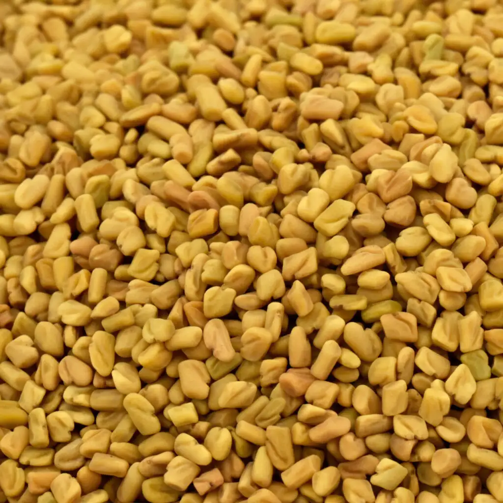 Benefits of Fenugreek