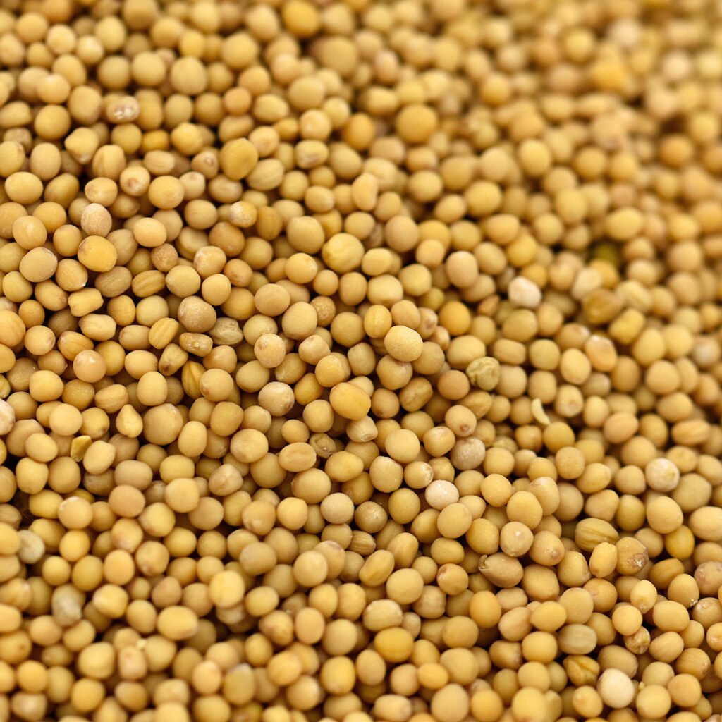 mustard seed, yellow Moroccan spices